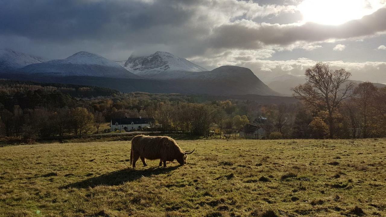Birch Lodge Fort William Eksteriør billede